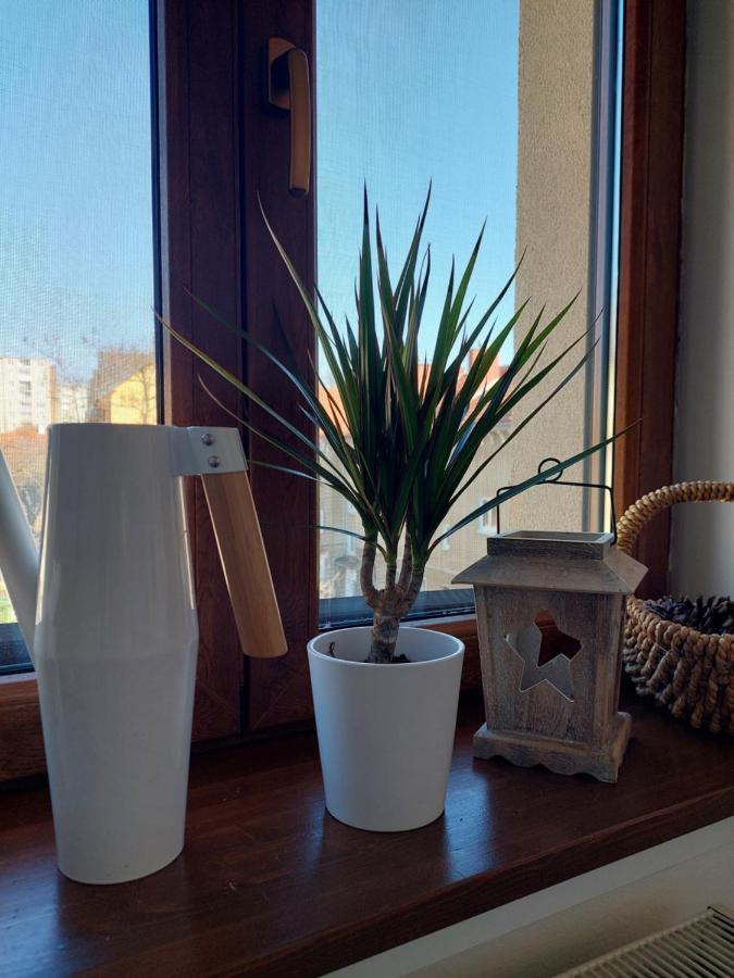 Emily Apartment Kösice Dış mekan fotoğraf