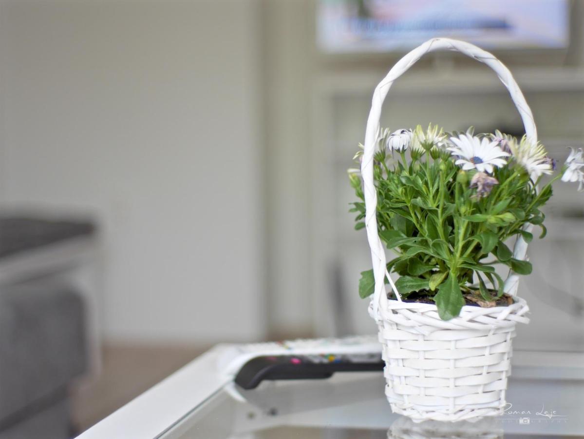 Emily Apartment Kösice Dış mekan fotoğraf