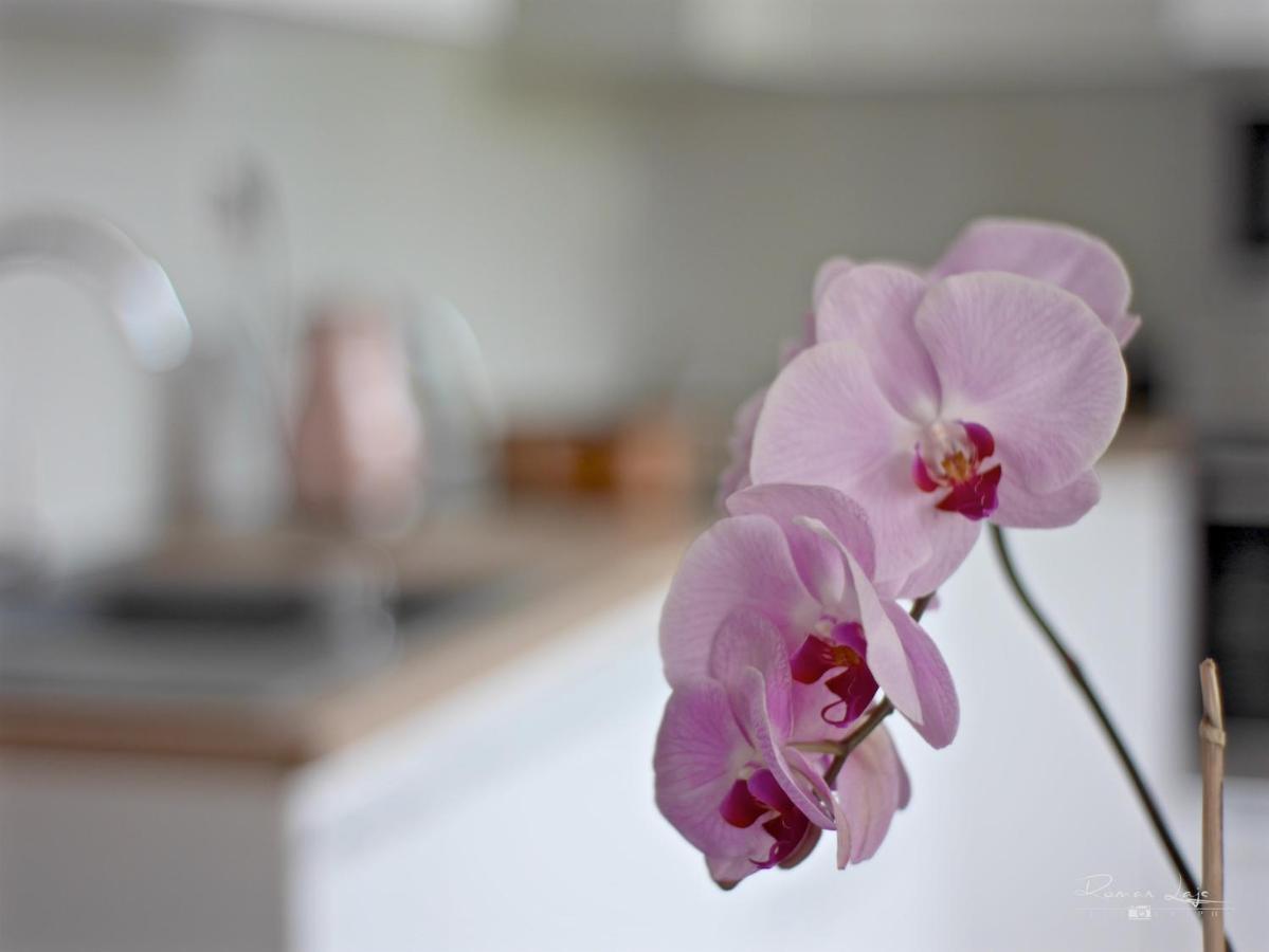 Emily Apartment Kösice Dış mekan fotoğraf