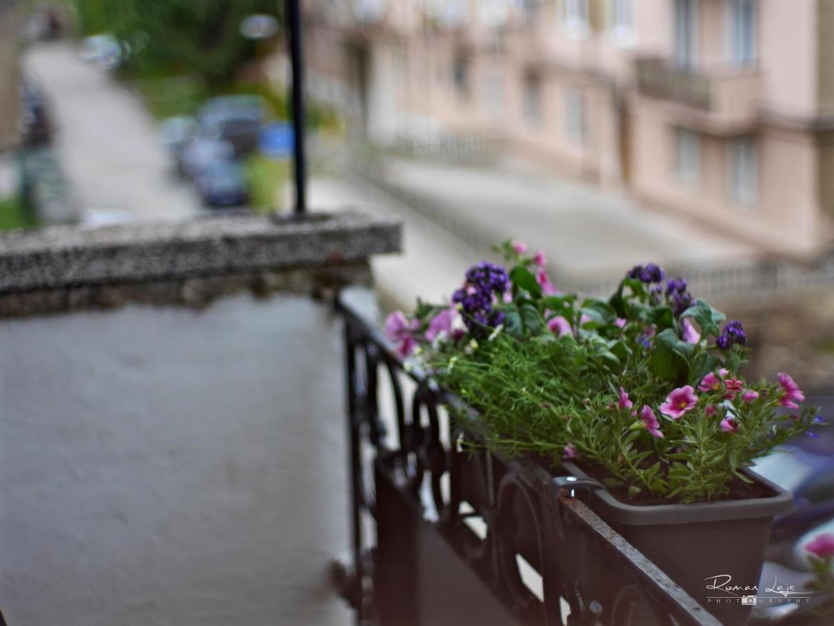Emily Apartment Kösice Dış mekan fotoğraf